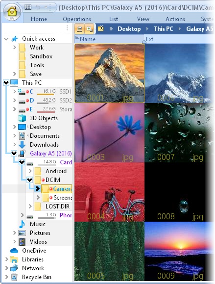 oMega Commander Features. Navigation pane. Tree.